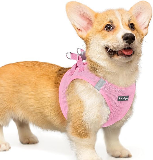 rabbitgoo Small Dog Harness, Step-in Soft Mesh Puppy Vest with Safety Buckle, Breathable Reflective Pet Harness for Small Medium Dogs, Light Pink L