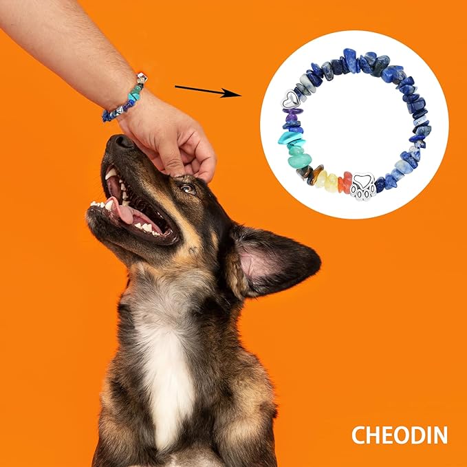 Rainbow Bridge Pet Memorial Bracelet - 7 Colors Chakra, Sympathy Gift for Loss of Dog or Cat, 7MM Mixed Color Gravel Stone, Bracelet for Grieving Pet Owners