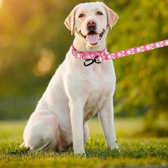 Martingale Collar for Medium Dogs, Girl Dog Collar with Daisy Flowers, Heavy Duty No Pull Dog Collar Floral Design Dog Training Collar, Perfect for Training, Walking, Hunting (Hot Pink + Leash, L)