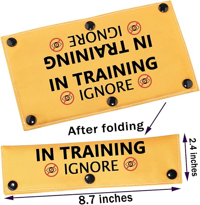 PWHAOO in Training Ignore Dog Leash Sleeve Dot Not Pet Working Merch Sleeve Service Dog Leash Wrap (in Training Ignore Sleeve)