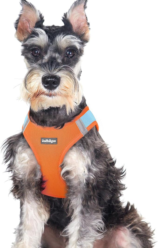 rabbitgoo Small Dog Harness, Step-in Soft Mesh Puppy Vest with Safety Buckle, Breathable Reflective Pet Harness for Large Dogs, Blue & Orange XXL