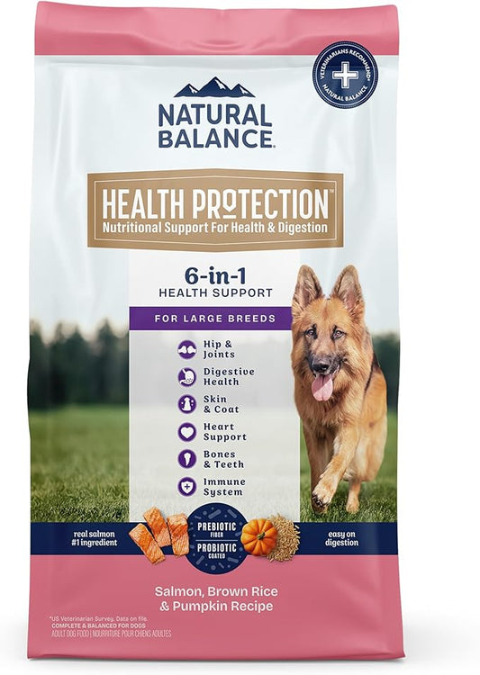 Natural Balance Health Protection Large Breed Dry Dog Food – Whole Body Health, Easy on Digestion Dog Food Made with Salmon, Brown Rice & Pumpkin for Dogs - 26lbs