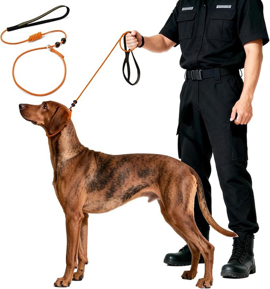 BeauGo|Dog Leash Slip Lead|Dog Training Lead,Trainer Rope Specifically Designed for DogTraining and NGKC Competition,2-in-Dog Lead & Collar,Trainer Rope for Small Medium Large Dogs(Orange)