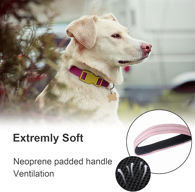 Nylon Short Leash 24 Inches Durable Dog Lead with Handle, Heavy Duty Dog Padded Handle and D-Ring for Control, Traffic 2FT Long for Small to Large Sized Dogs Training Leash Pink