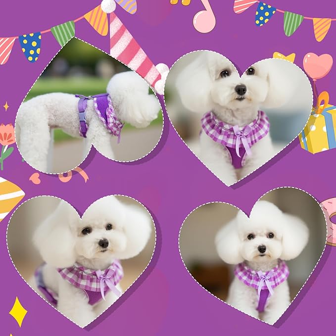 EXPAWLORER Cute Dog Harness and Leash Set - Purple Girl Dog Harness Checkered Step-in Design, Easy Adjustable No-Choke Lightweight Breathable Vest for Puppy Small Dogs Cats Outdoor Walking, Small