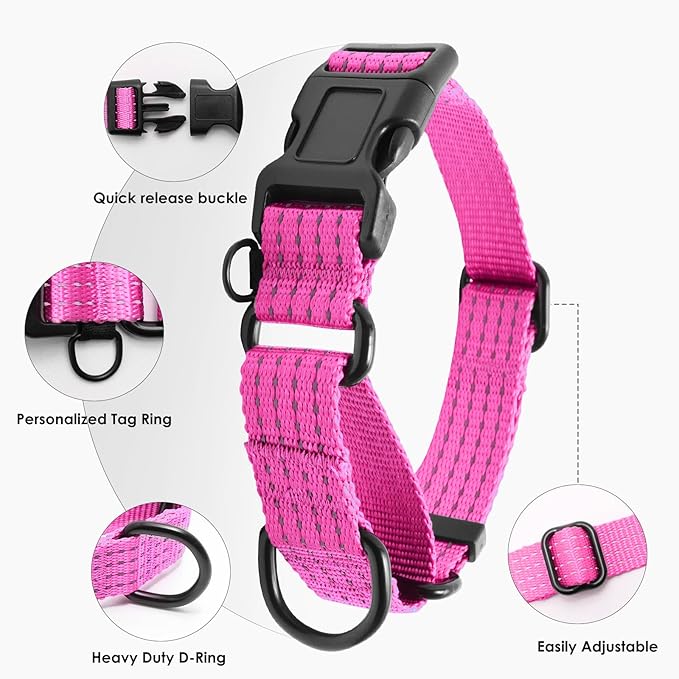 Martingale Collar for Dogs, Adjustable Soft Nylon Dog Collars with Special Design Cute Patterns (Pink, L (1" x 19"-26"))