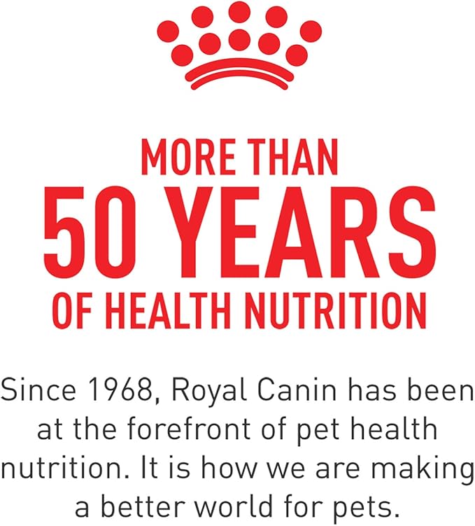 Royal Canin Breed Health Nutrition Dachshund Adult Dry Dog Food, 10 lb Bag