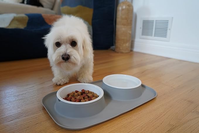 Croc Liner Pet Feeding System, Dog and Cat Bowls, Removable Dishwasher Safe Food and Water Dishes, Non-Slip, Non-Spill Silicone Pad, Raised Edges to Avoid Mess & Spills (Light Gray)