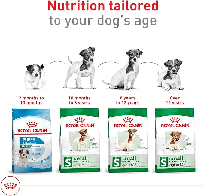 Royal Canin Size Health Nutrition Small 8+ Senior Dry Dog Food, 13 lb Bag