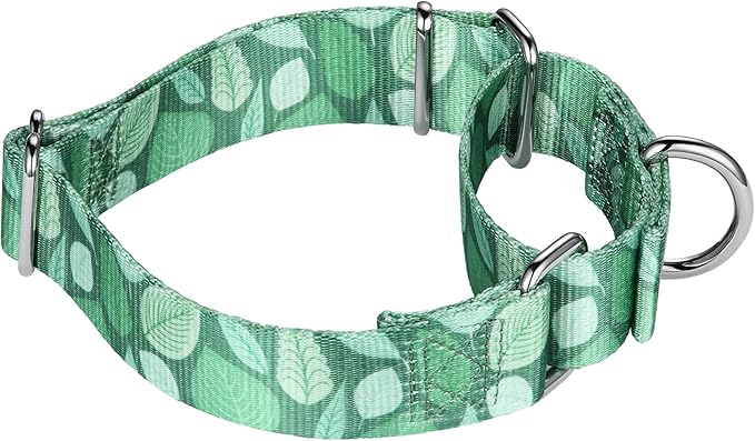 Mikivery Martingale Collar for Dogs 1 inch Sturdy Durable Collars Medium and Large Breed for Walking Training Outdoor Daily Use