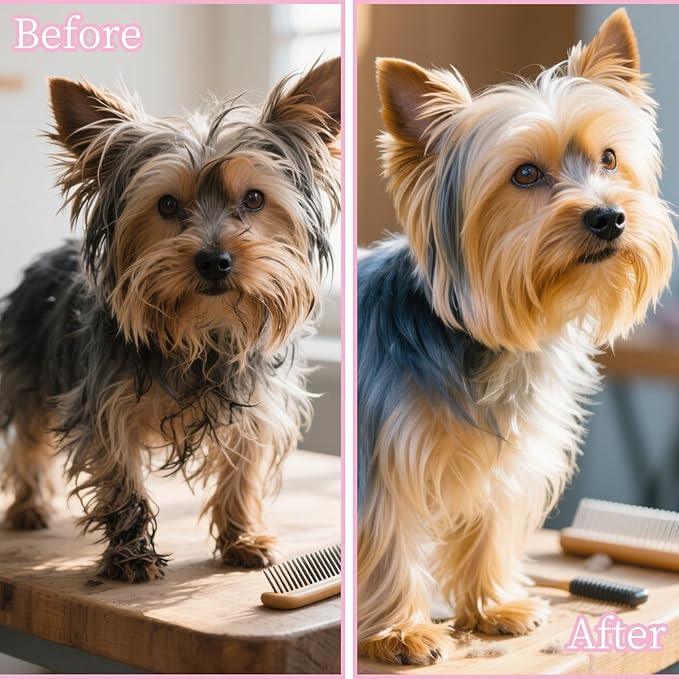 Adorable Cat Ear-Shaped Soft Bristle Air Cushion Dog Brush for Small Breeds - Ideal for Yorkie, Shih Tzu, Maltese, Pomeranian, Maltipoo - Gentle Grooming Tool, Puppy Essentials (Purple)