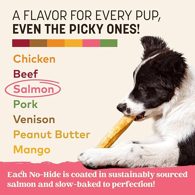 Earth Animal No Hide Chews - Long Lasting Rawhide Free Medium Dog Chews Rolls, Salmon - 6 Count