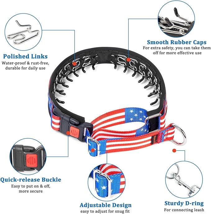 Mayerzon Martingale Prong Collar for Dogs, Patented No Pull Pinch Collar with American Flag and Buckle for Small Medium Large Dogs Training Walking Hunting, Adjustable and Heavy Duty(XL, Flag)
