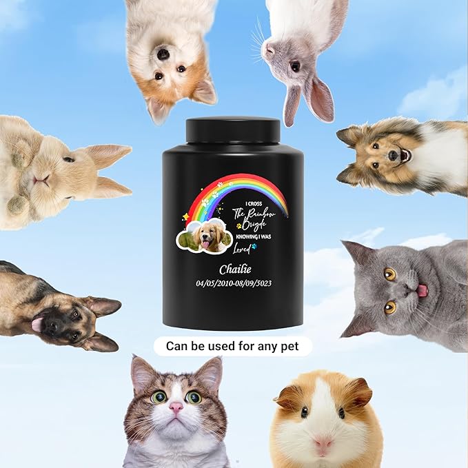 Custom Urns for Dogs Cats Ashes Personalized Memorial Pet Urn with Name and Photo Pet Cremation Urn for Loss of Dog or Cats Engraved Pet Funeral Urn (Rainbow)