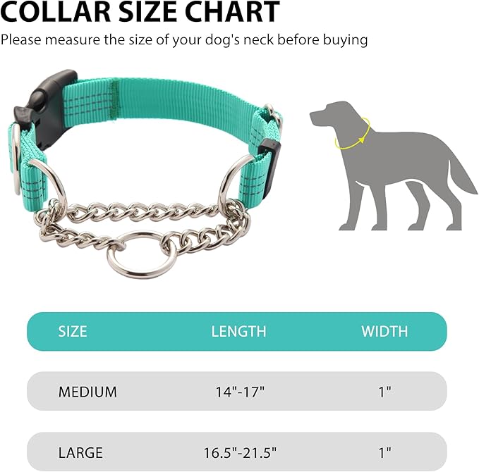 Martingale Dog Collar with Quick Release Buckle Steel Chain No Pull Training Reflective Collar for Medium Large Dogs(Teal, Large)