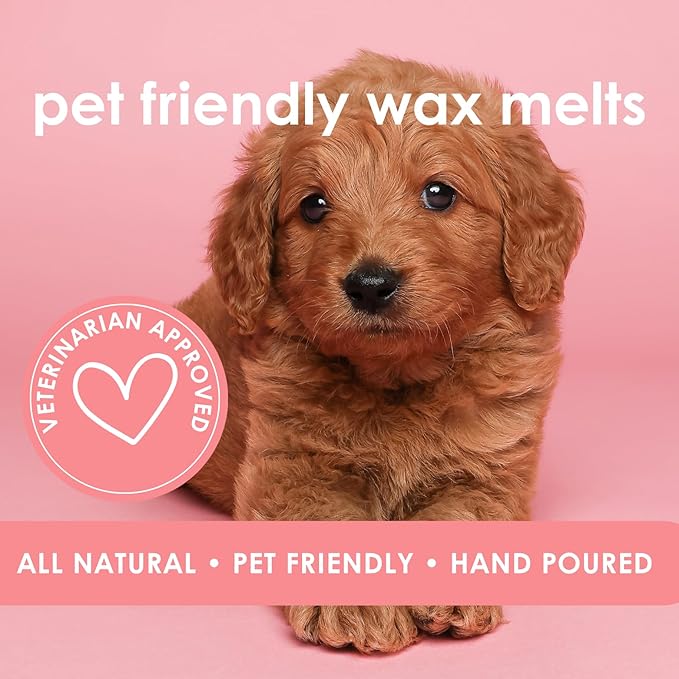 Pet Safe Wax Melts for Dogs | Non Toxic Soy Wax Melts | Natural, Paraffin-Free, Clean Burning | Odor Eliminating Wax Cubes | Falling Leaves
