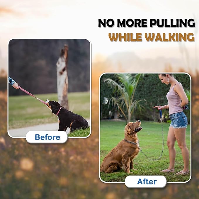 Dog Chain Collar Metal Martingale Collars, Chrome Plated for Training, Chew Proof, Double Link Collar for Medium Dogs(Suitable for Dog's Neck 20-22.5'')