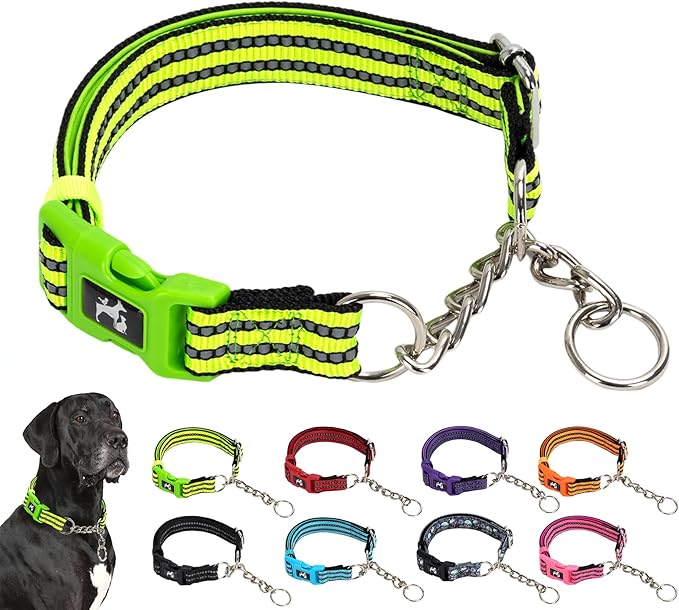 Green Reflective Martingale Dog Collar with Buckle- Night-Safe, Anti-Slip Training Collar Designed for Secure Walks - Medium