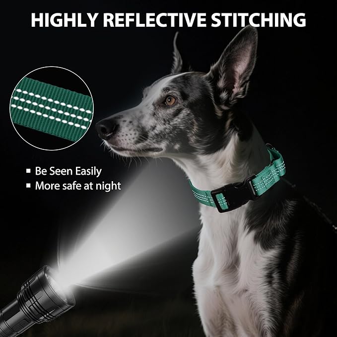 Martingale Dog Collar Quick Release Buckle No Pull Reflective Non-Slip for Medium Large Dogs Training (Teal, Large)