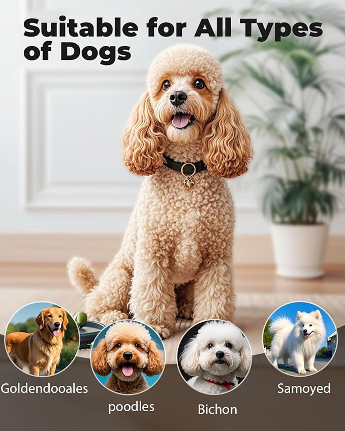 Professional Pet Slicker Brush for Long Haired Dogs&Cats Large Grooming Tool for Dematting, Detangling, Removes Loose Fur,Suitable for Doodles,Poodles,Goldendoodle, Labradoodle, Long Thick Curly Coats