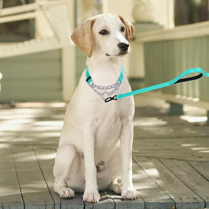 Martingale Dog Collar with Stainless Steel Chain and Leash Set, Martingale Collar with Reflective, 5FT Double Handle Dog Leash Padded, Adjustable for Medium Large Dogs (L, Teal)