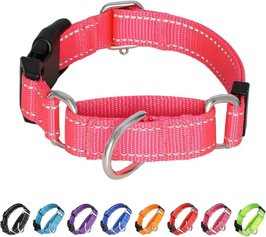 Martingale Collar for Dogs,Reflective Martingale Dog Collars with Quick Release Buckle,Adjustable Nylon No Pull Dog Collar for Dogs Walking Training (Orange, Large)