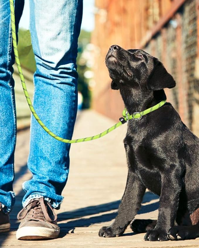 TagME Slip Leads for Dogs that Pull, 6 FT No-Pull Training Leash with Lock, Escape-Proof Design, Reflective & Padded Handle for Small Dogs, Green