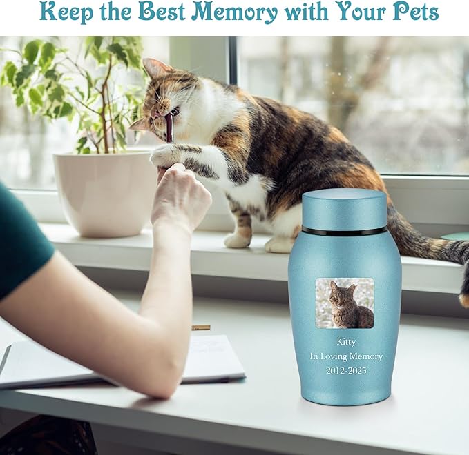 abooxiu Photo Custom Small Urn for Dog Cat Ashes Pet Memorial Urns for Ashes Stainless Steel Cremation Keepsake Urn Photo Personalize Pet Memorial Gifts for Dog Cat-Blue