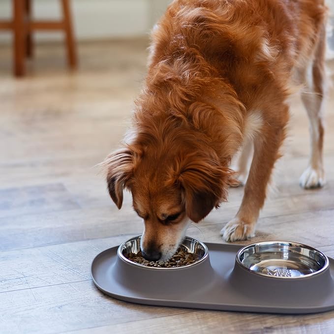 Messy Mutts Double Silicone Feeder with Stainless Bowls | Non-Skid Food Dishes for Dogs for All Pets | Dog Food Bowls | Medium, 1.5 Cups Per Bowl | Grey