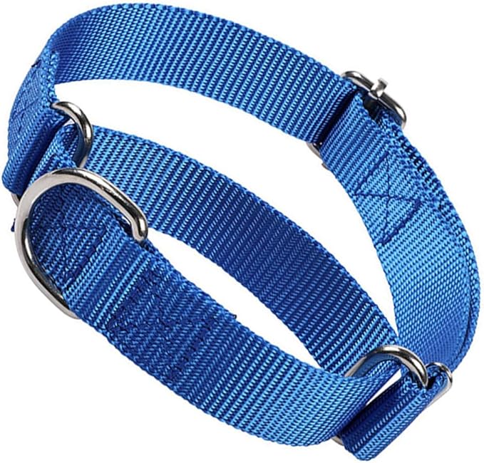 Martingale Collar for Dogs, No Pull Martingale Dog Collars for Small Dogs Heavy Duty No Slip Training Collar for Small Medium Large Dog (Blue, S)
