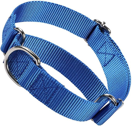 No Pull Martingale Dog Collar, Dog Choker Collar for Large Dogs Heavy Duty No Slip Training Martingale Collars for Small Medium Large Dog (Blue, L)