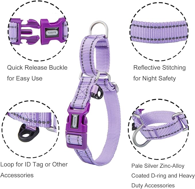 Reflective Martingale Collar for Dogs with Quick Snap Buckle Anti-Pull Nylon Safe Slip Collars for Easy Walking,Lilac,Small