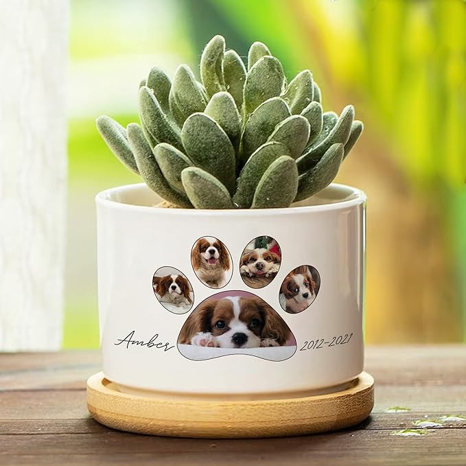 Customized Dog Memorial Picture Plant Pot Remembrance Gifts With Heartfelt Sentimental Quote Loss Plaque In Loving Memory of Dog Cat Plant Pot for Outdoor Sympathy Pawprints Pet Decor Gifts