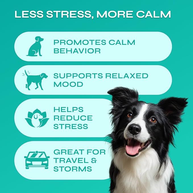 Dog Calming Chews with Hemp - 17,810 mg Hemp Oil per Pack - Soft Calming Chews for Dogs with Melatonin - Relaxation Support for Travel, Grooming, Separation, Thunder, Fireworks - 130 Chicken Bites