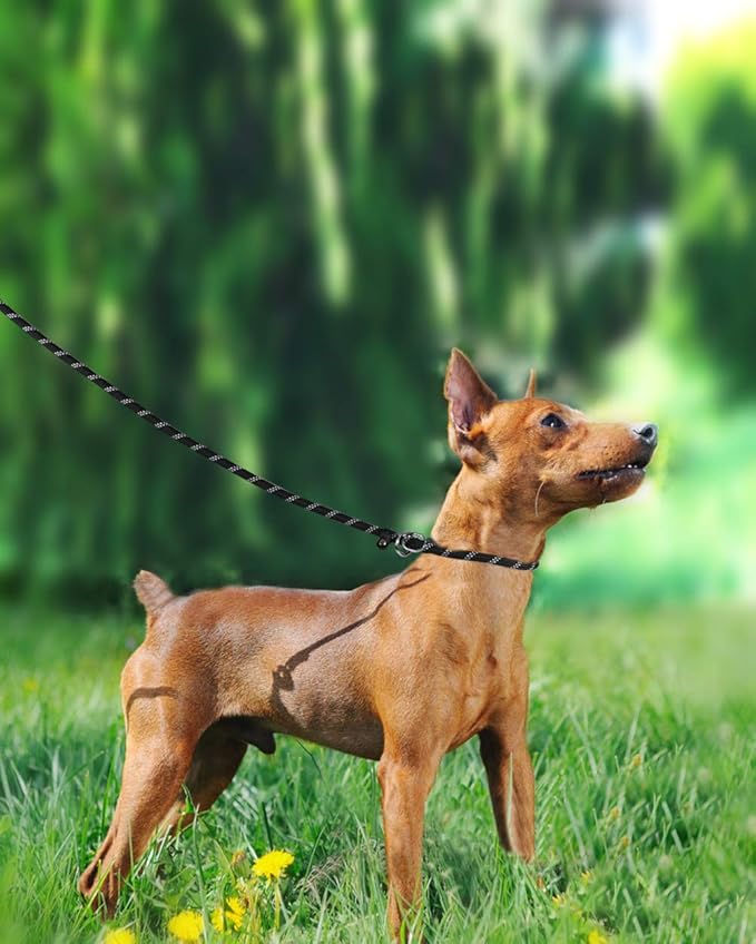 TagME Slip Leads for Dogs that Pull, 6 FT No-Pull Training Leash with Lock, Escape-Proof Design, Reflective & Padded Handle for Small Dogs, Black