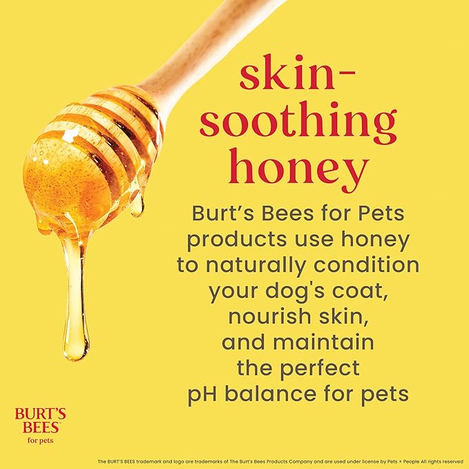 BURT'S BEES FOR PETS Naturally Derived Deodorizing Spray for Dogs - Best Dog Spray for Smelly Dogs - Made with Apple & Rosemary - Cruelty Free, Made in USA, 10 oz - 6 Pack