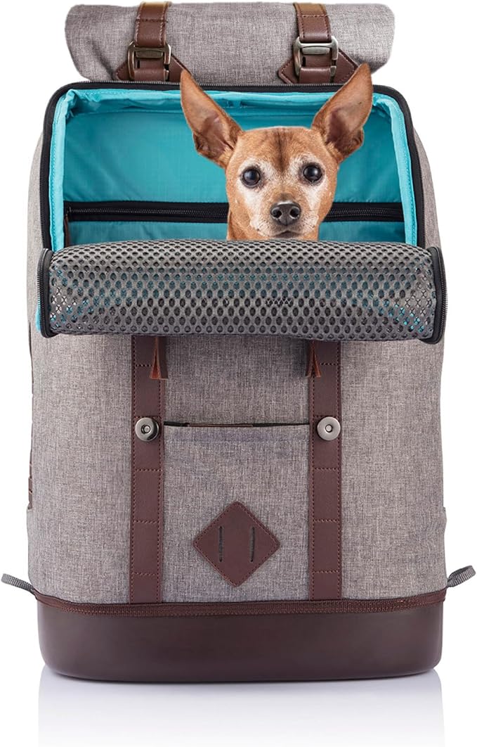 Kurgo Dog Carrier Backpack for Small Pets - Hands-Free Pet Travel Backpack - Armorsole Base - Convertible Backpack to Carrier - Rugged Pet Backpack - Heather Grey