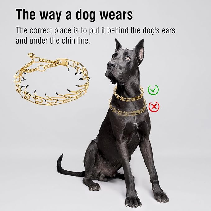 Dog Pinch Collar Stainless Steel,Gold Prong Dog Training Collar,No Pull Martingale Collar Stainless Steel Metal Chain Collar,Adjustable Size Collar for Medium and Large Dogs (L, Gold)
