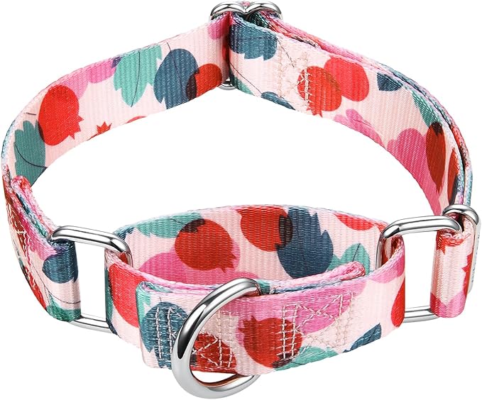 Mikivery Martingale Collar 1 inch Slip On and Off,NO Buckle Gently Tightens Medium and Large Collars