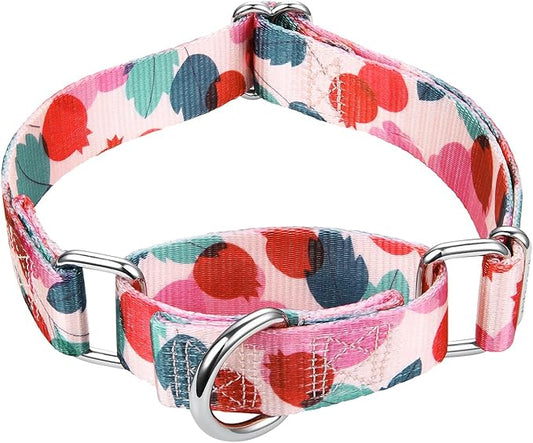Mikivery Martingale Collar 1 inch Slip On and Off,NO Buckle Gently Tightens Medium and Large Collars