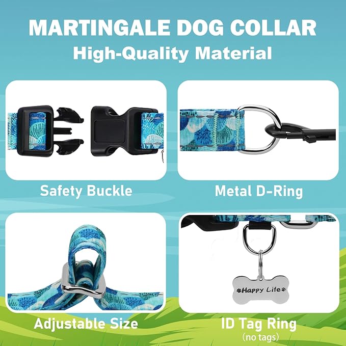 Reflective Martingale Collar with Buckle Adjustable Nylon Training Pet Collars for Extra Small Dogs (Turquoise Shell, XS)