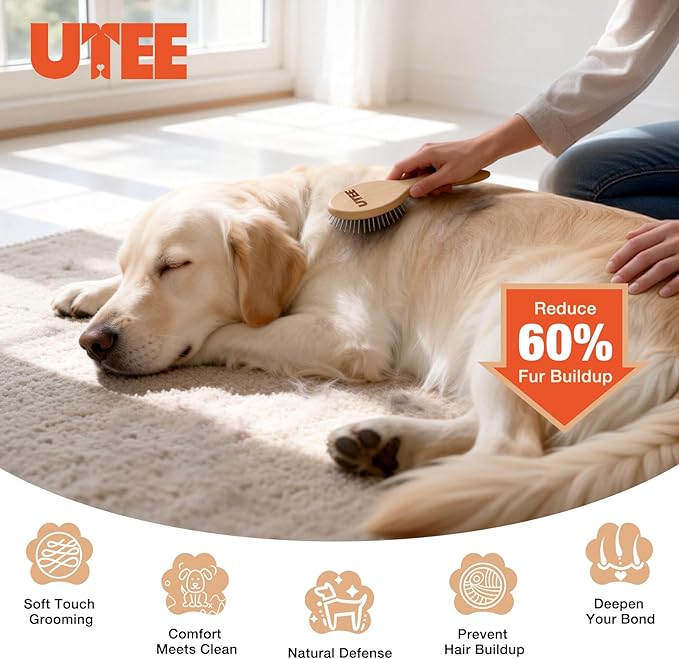 UTEE Professional Pin Brush for Long-Haired Dogs & Cats - Anti-Static Beechwood Grooming Brush with Massage Tips - Gentle De-tangling for Silky Coats & Sensitive Skin