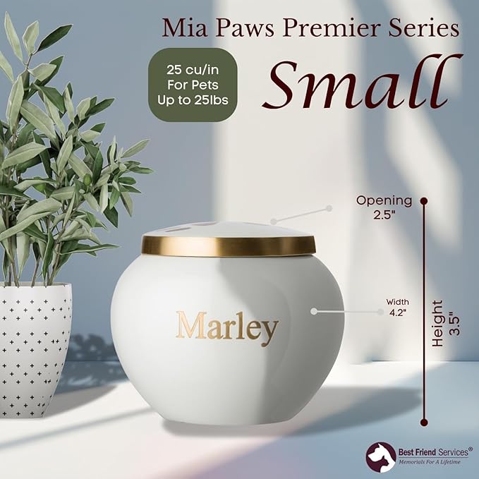 Mia Paws Premier Series Pet Urn for Dogs and Cats with Personalized Laser Engraving (Small - Pets up to 20 lbs, Cloud White, Double Brass Paws)