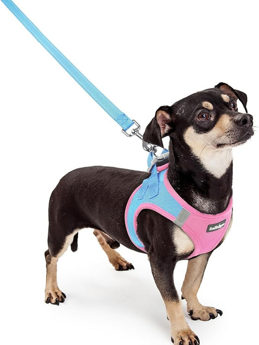 rabbitgoo Dog Harness Small Sized and Leash Set, Step in Soft Light Puppy Vest, Breathable Mesh Pet Harness, Reflective for Safe Easy Walking, Blue & Light Pink XXXS