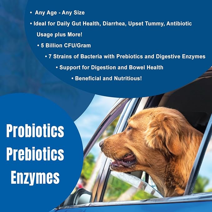 DOGZYMES Daily Balance Canine Supplement by Nature’s Farmacy – Probiotics + Prebiotics + Digestive Enzymes – 5 Billion CFUs – Whey Base – 2 lbs (908 g)
