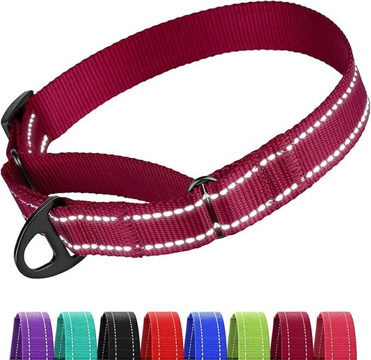 CollarDirect Reflective Martingale Dog Collar Nylon Heavy Duty Training Pet Collars for Small Medium Large Dogs Puppy Black Blue Mint Green Red Pink Purple Dark Red (S, Neck Size 11"-15", Dark Red)