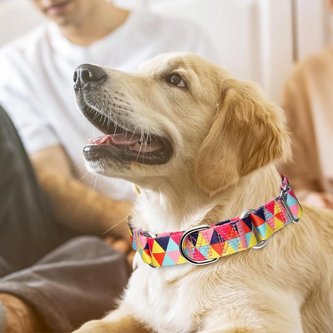 Martingale Collar for Dogs, Colorful Triangle Design Dog Collar for Small Medium Large Dogs, Adjustable Heavy Duty Dog Collars for Training, Walking, Hunting (L)