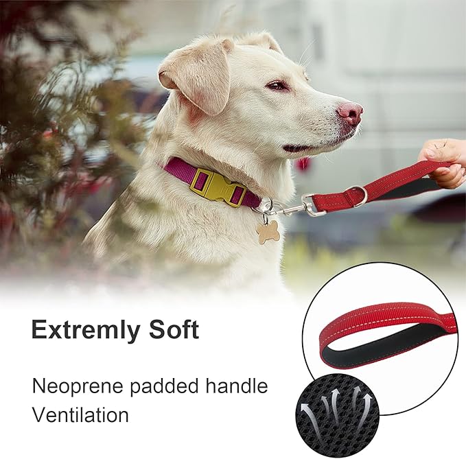 Standard Training Leashes 12 Inches for Dogs, Short Traffic Dog Leash Heavy Duty Padded Handle, Nylon Anti Pull for Reflective, Short Line Dog for Small, Medium and Large Dogs 1 FT Red