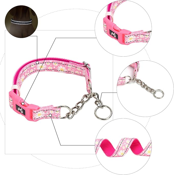 Martingale Dog Collar Trainer Approved Limited Slip Collar with Stainless Steel Chain & Heavy Duty Buckle - Modified Cinch Collar for Gentle & Effective Pet Training - Medium