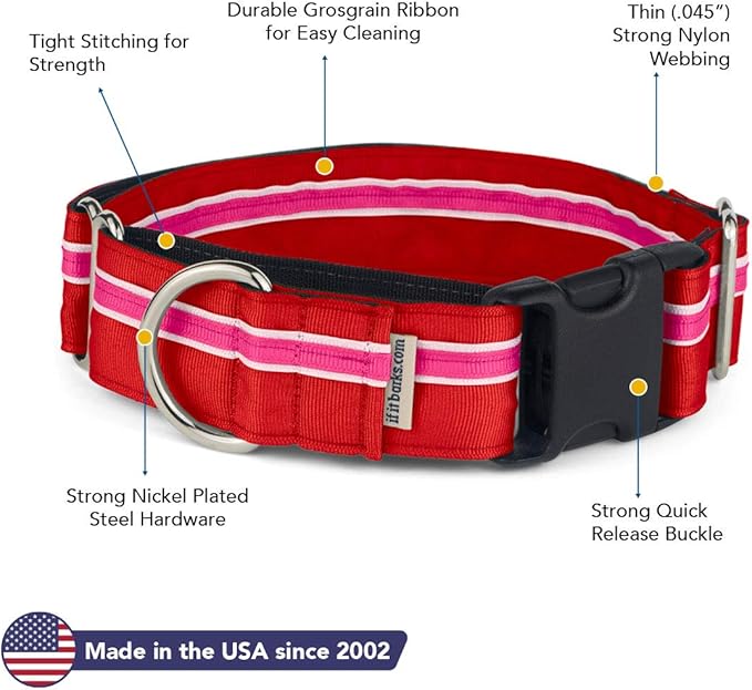 If It Barks - 1.5" Martingale Collar for Dogs - Quick Snap Release Buckle - Adjustable - Nylon - Strong and Comfy - Ideal for Training - Made in USA - Large, Shortcake